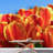 Floral Border-93996978