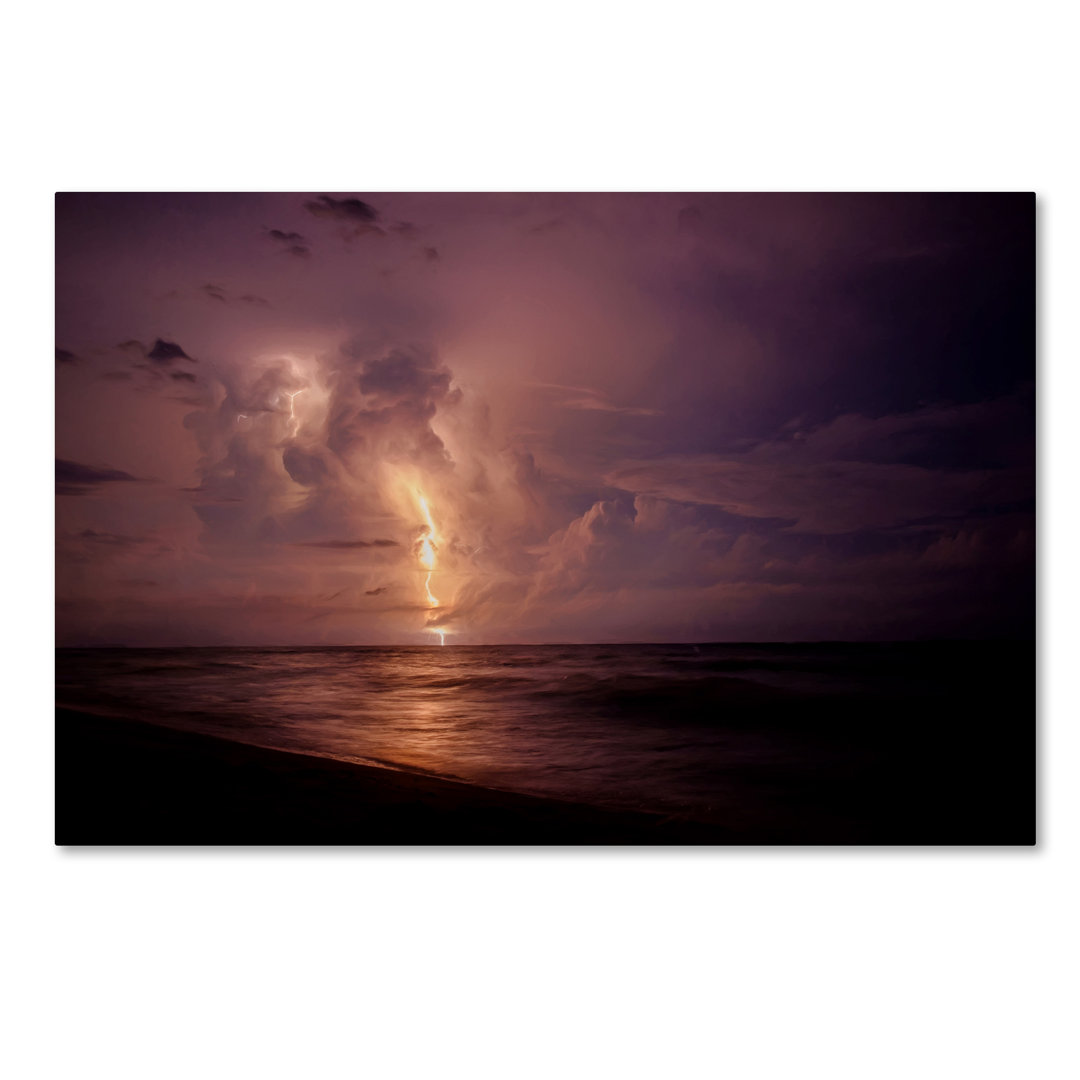 Modern & Contemporary Ebern Designs 