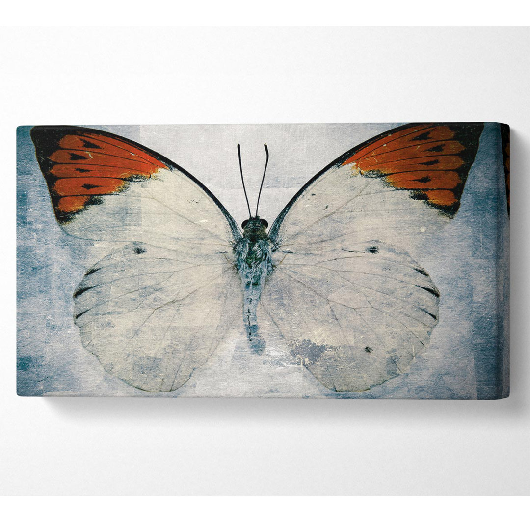 Schmetterling mit orangefarbener Spitze - Druck