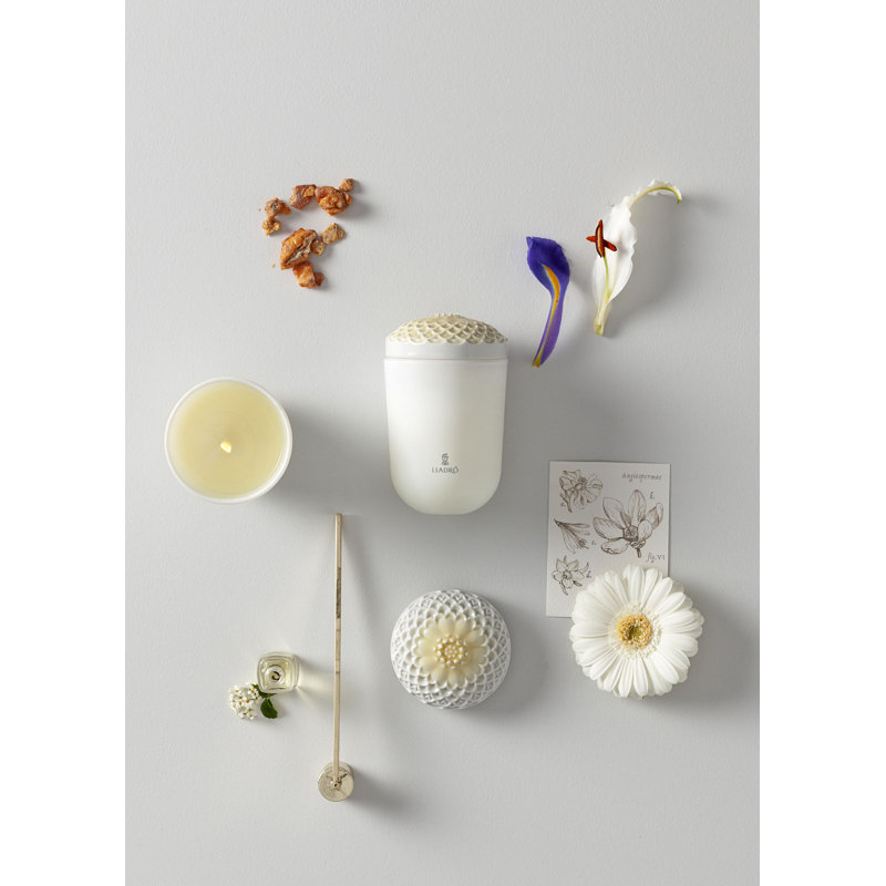 Bougie parfumée Echoes of Nature