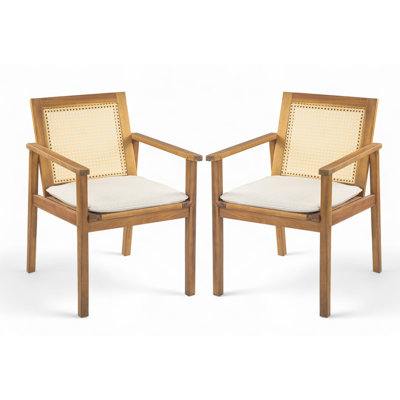Outdoor Dining Chair with Cushion(Set of 2)