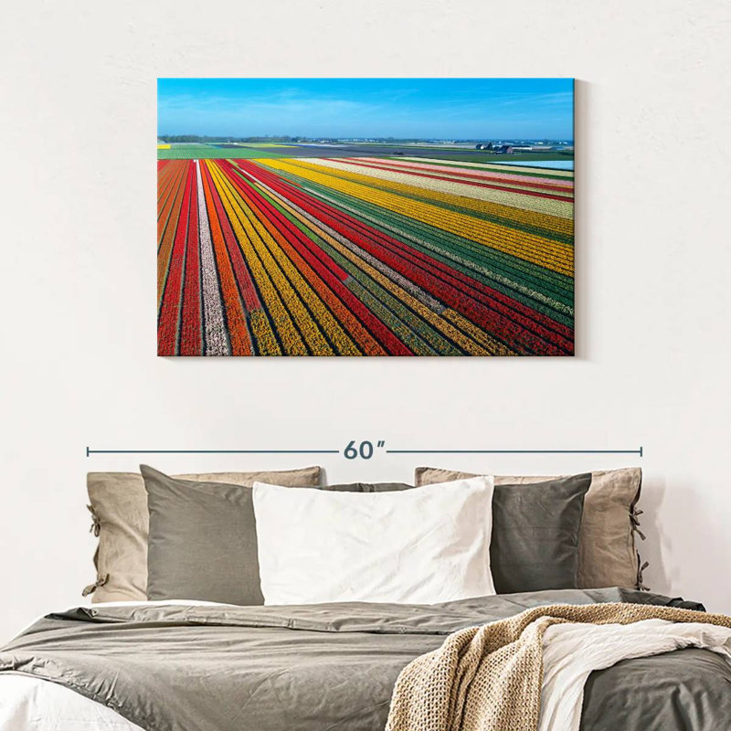 Ferme de tulipes sans fin Alvord