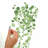 Plants & Flowers Non-Wall Damaging Wall Decal