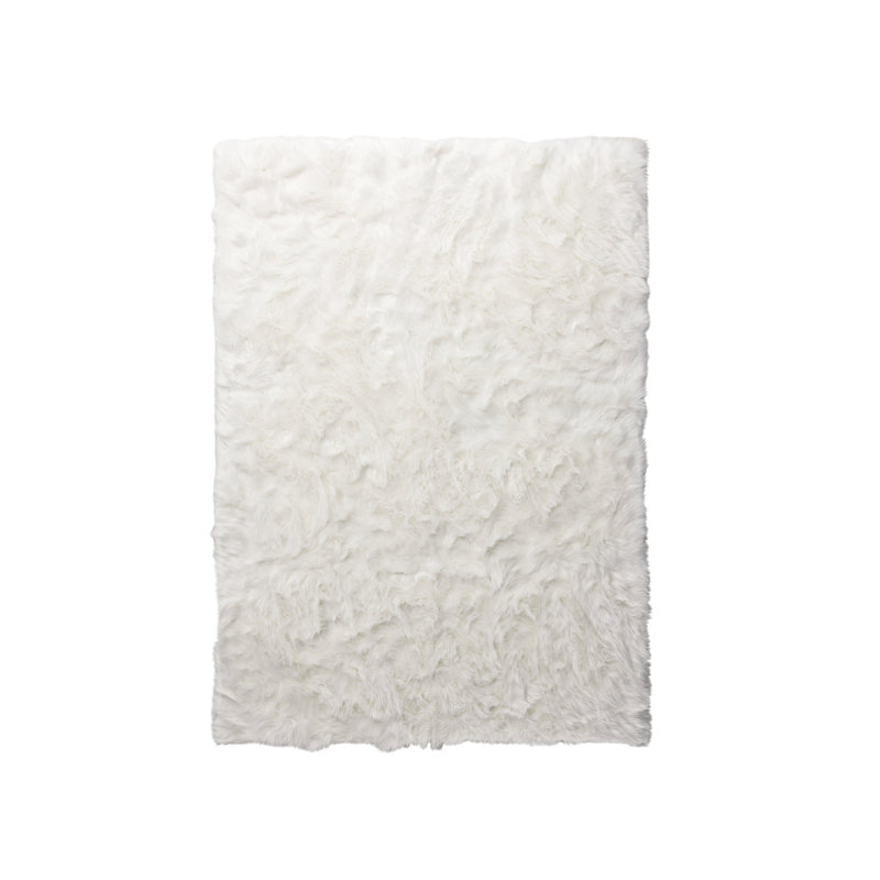 Airam 160cm X 230cm Area Rug, White