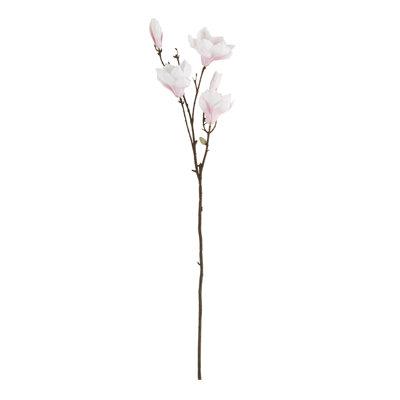 Ensemble de 12 fleurs Magnolia