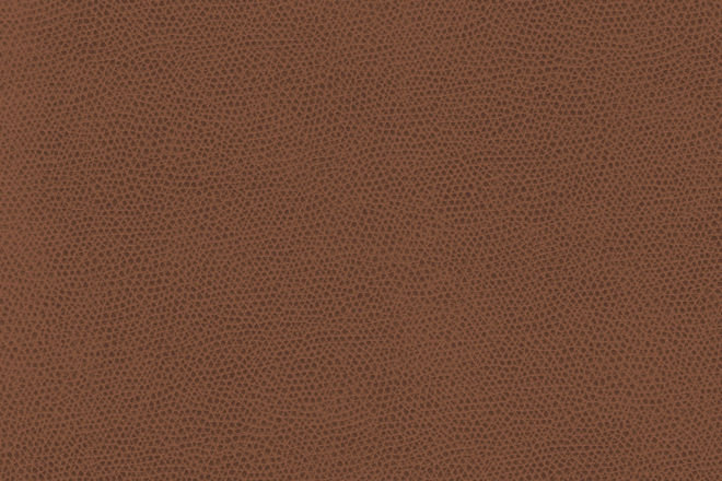 Ophidian Fabric, Saddle