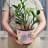 3 Piece Ceramic Plant pots with Drainage Holes-1290265820