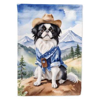 Drapeau Cowboy Welcome House