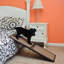 Mini rampe pour animaux 42 "Portia