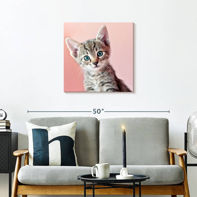Crowle Staring Cat, 24" H x 24" W
