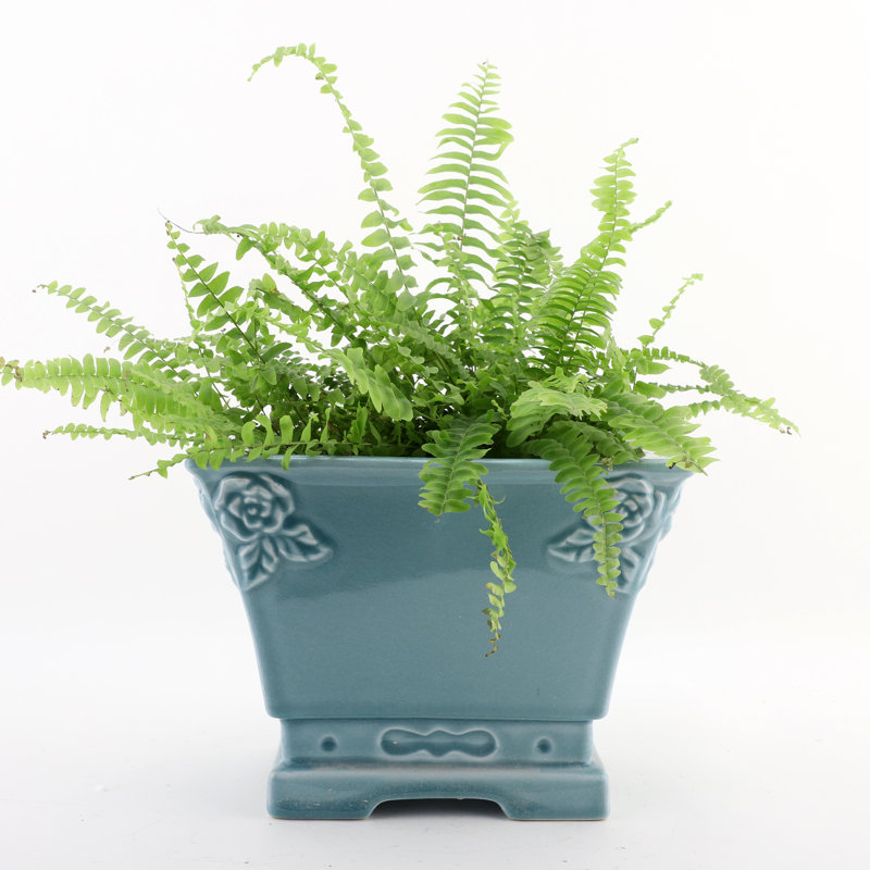 Handmade Ceramic Basin