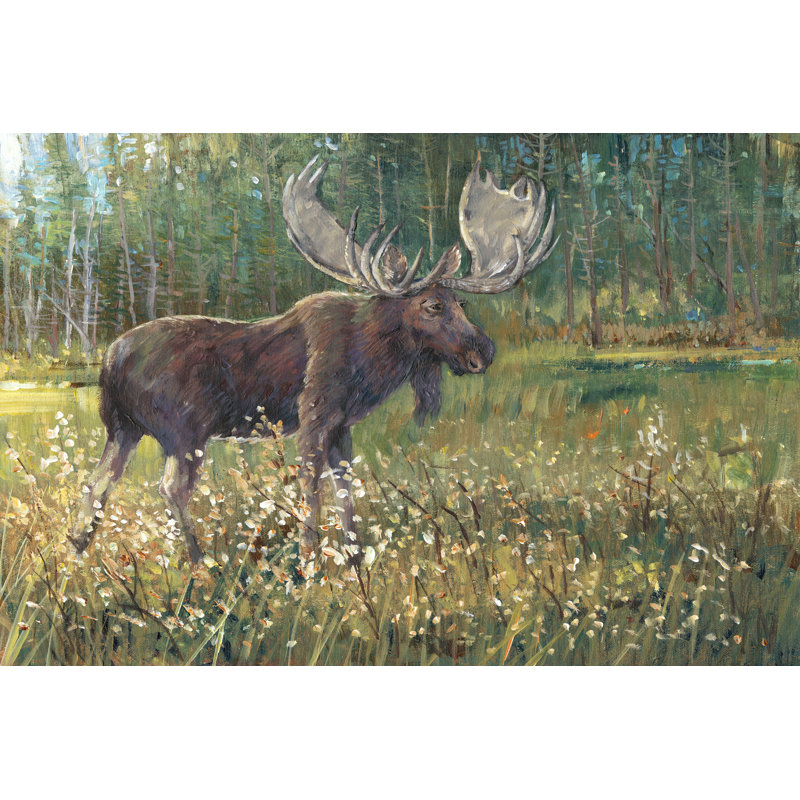 Moose In The Field - Wrapped Canvas Painting, 81cm H x 122cm W
