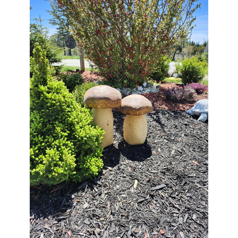 Champignons d'extérieur en bois