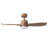 Jaclyn 42'' Ceiling Fan with LED Lights-746310772