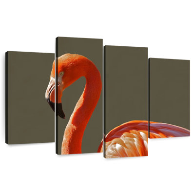 Brampt superbe flamant orange