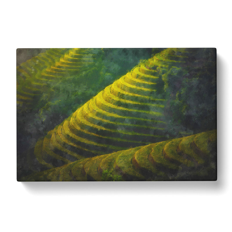 Rice Plantation In Cambodia Vol.2 - Wrapped Canvas, 35cm H x 50cm W x 3cm D