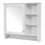 Armoire de rangement murale à miroir avec tablette réglable, charnières à fermeture en douceur pour la salle de bain-1388939517