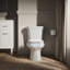 Wellworth® 1.28 GPF Water Efficient Elongated Two-Piece Toilet (Seat Not Included)-10978054