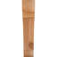 Attelle de genou olympique-31229541-31230593-29309935