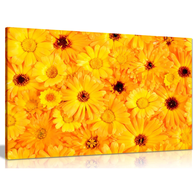 Flowers - Wrapped Canvas Print, 41cm H x 61cm W