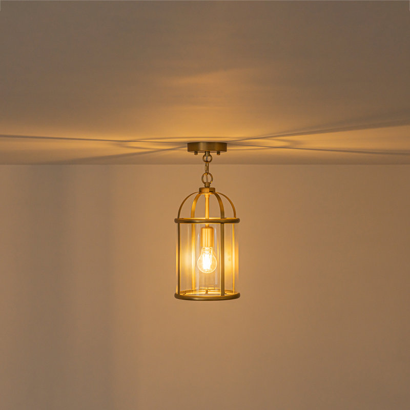 1-Light Cage Clear Glass Cylinder Single Pendant