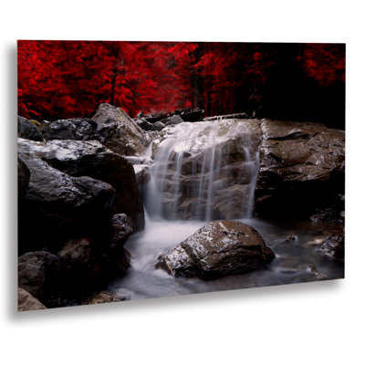 Fadel Red Vison' by Philippe Sainte-Laudy Photographic Print on Metal