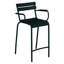 Luxembourg Outdoor Bar Stool-1613520493