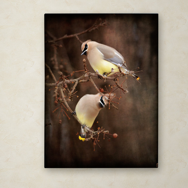 «Peek a Boo Cedar Waxwings» de Vidur, impression sur toile tendue, H 47 po x l 35 po