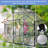 6X8 FT Polycarbonate Greenhouse Raised Base And Anchor Aluminum Heavy Duty  Greenhouses-123283165-123283161