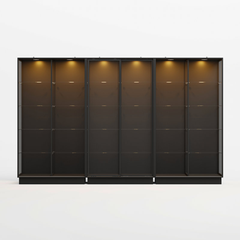 Système de placard élégant avec portes en verre trempé et éclairage intégré