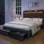 LED Bed Frame with 2 Drawers Pockets and Upholstered Wingback Headboard-436457623-461385727