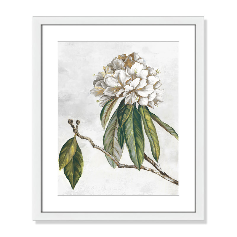 «Pearly Beauty II» par Eva Watts, Blanc satiné, L 16 po x H 19 po, Imprimé mat