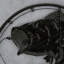Animals Wall Decor