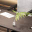 Bureau unique avec surface de travail spacieuse-642954677