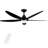 55.96'' Ceiling Fan with LED Lights