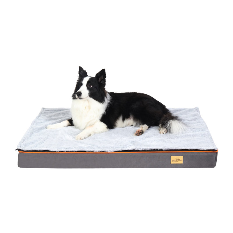 Lit pour chien Pillow, Très grand (H 4 po x l 43,3 po x P 33,4 po)
