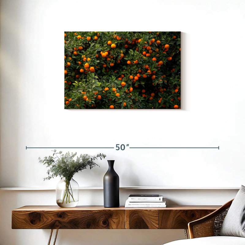 Oranges Harnek Valencia, H 20 po x l 30 po