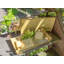 Divided Serving Dish-1893397056