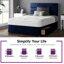 Hayder Upholstered Bed-158155189-158158400-258502069