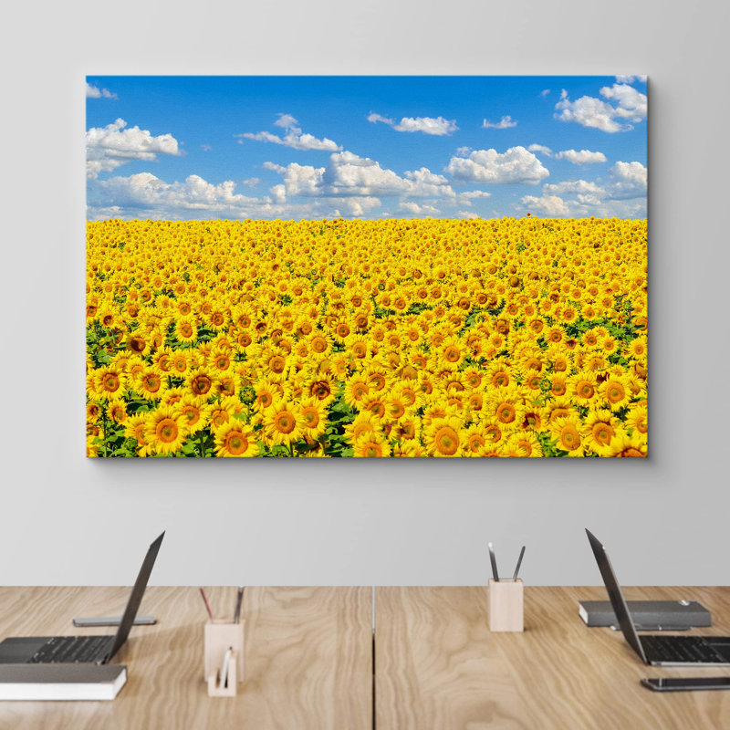 Tournesol «Vibrant Yellow Summer Sunflowers» sur, H 16 po x l 24 po