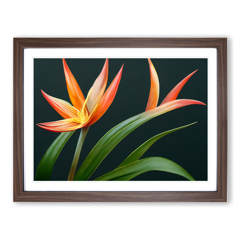 The Bird Of Paradise Flower Vol.3 Framed Print, 25cm H x 34cm W x 2cm D, Walnut