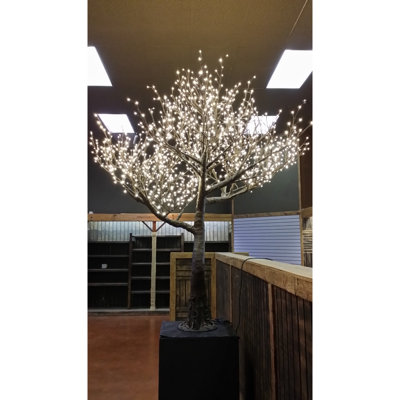 Arbre à saule de 8 pieds, sans feuilles, lumières à DEL blanc chaud