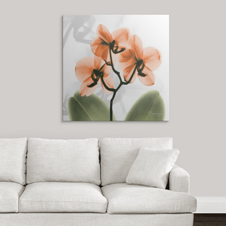 «Manigault» Orchid X-Ray par Kiranjit, reproduction de photo, H 35 po x l 35 po x P 1,5 po, Toile