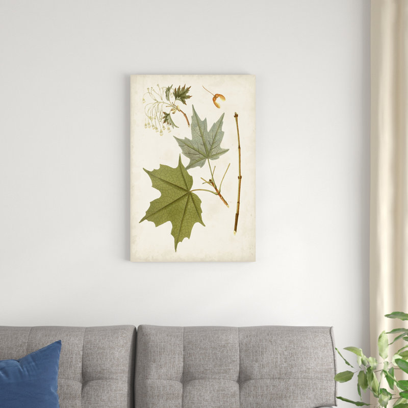 Feuilles antiques VII, H 30 po x l 20 po