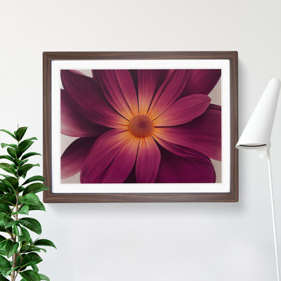 Harmonious Daisy Flower 1 Piece Single Picture Frame Wall Art