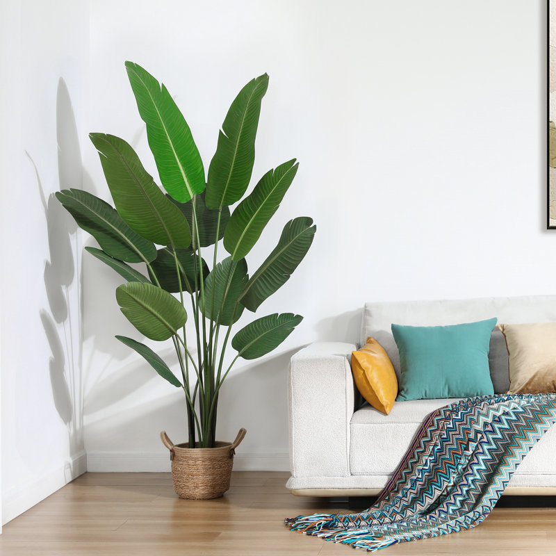 Adcock 6 Ft Artificial Traveler’s Palm Tree (Fabric Leaves) in Black Pot, Lifelike Faux Tropical Floor Plant for Indoor Living Room, Bedroom, Office & Entryway Decor