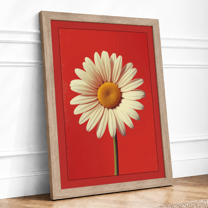 Centered Daisy Study Botanical - Framed Print, A1 - 84.1 x 59.4 cm, Oak