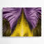 Art mural Op mauve 63