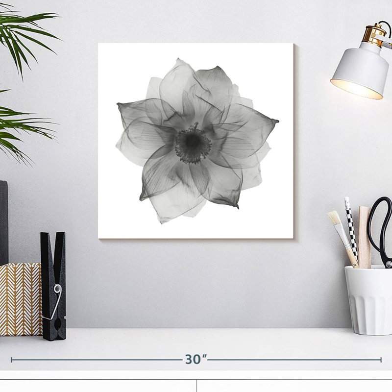 Harnek Lotus Flower X Ray