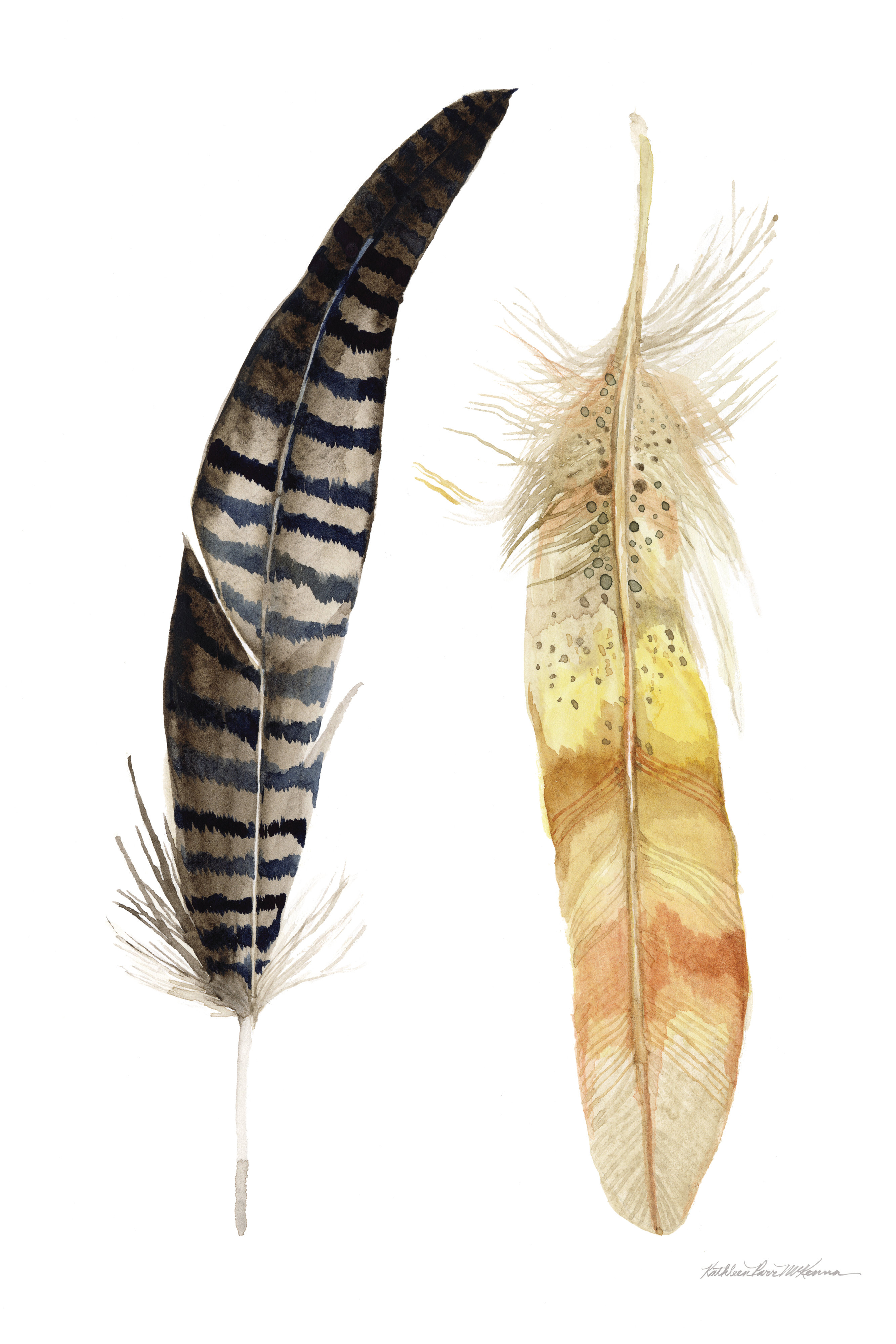 Gracie Oaks Natural Feathers III by Kathleen Parr McKenna - Wrapped ...